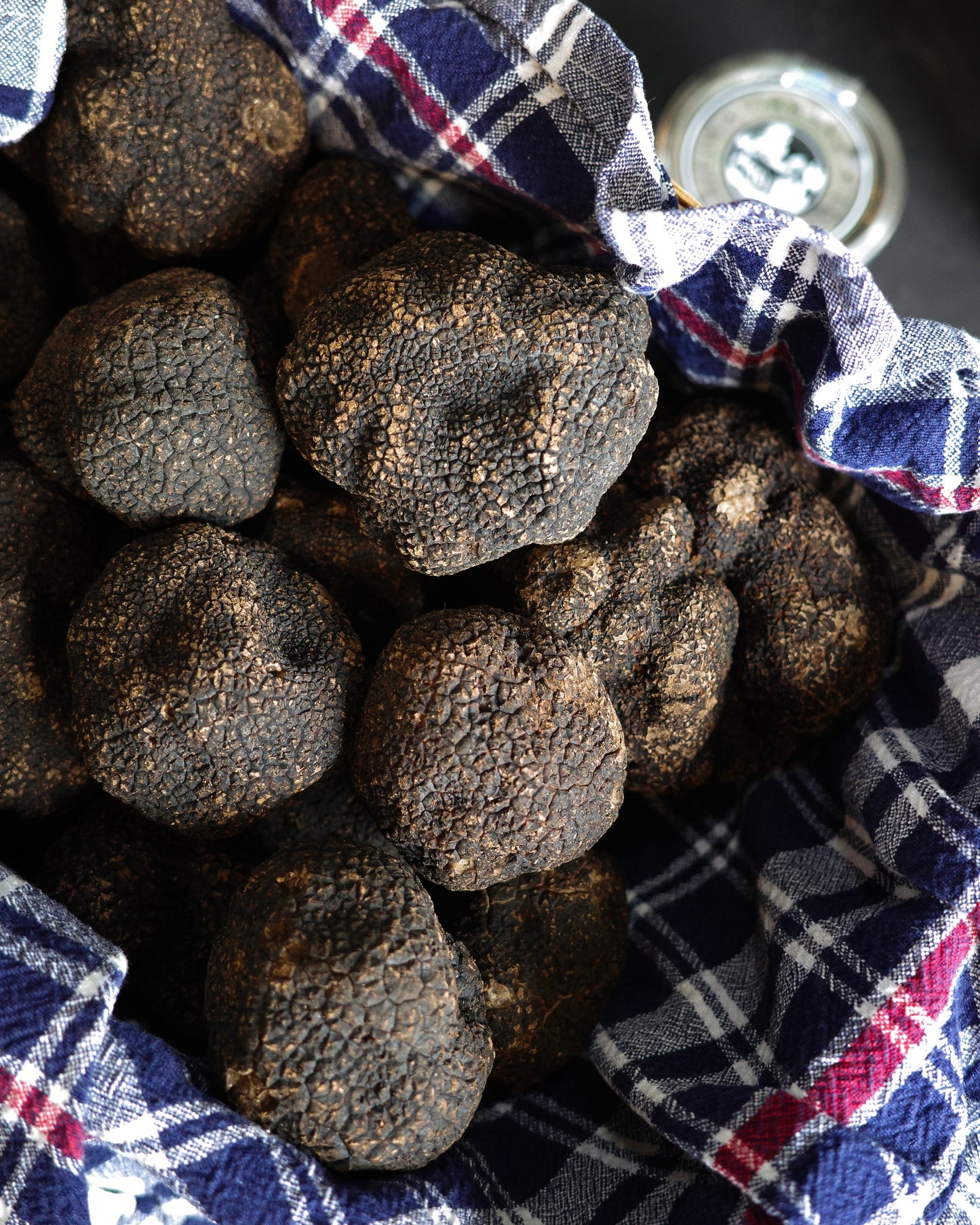 CLAUDE x Urbani's Truffle Cheesecake