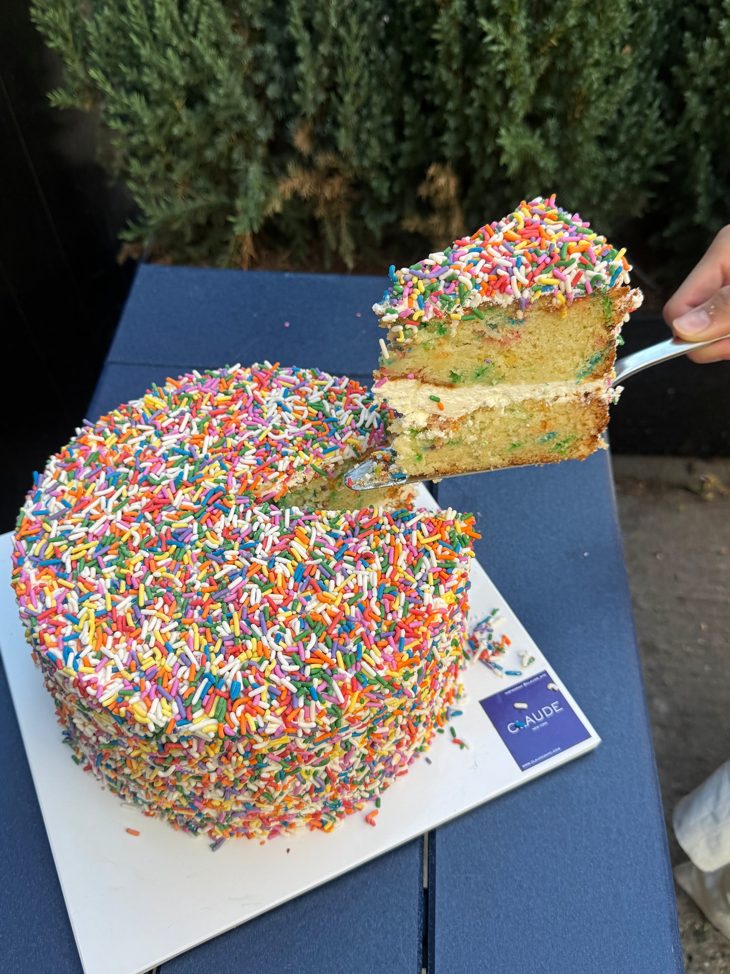 Confetti Cake 9"