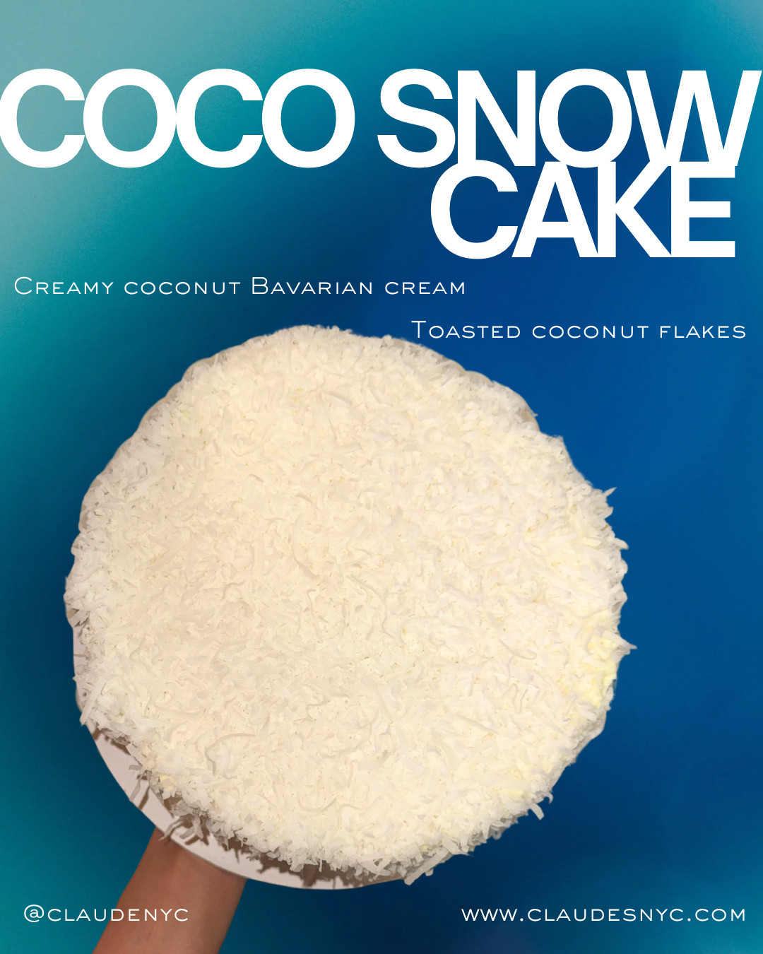 COCO SNOW CAKE 9"